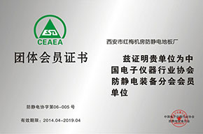 团体会员证书
